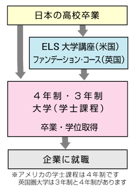 ４年制大学チヤート